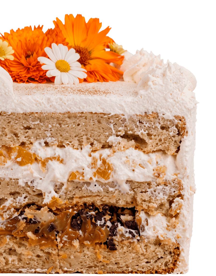 Torta Delfina de vainilla cortada a la mitad